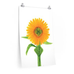 Sunflower Posters